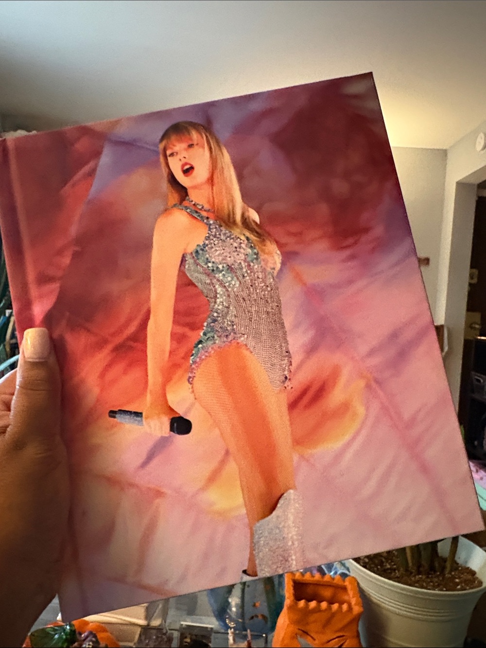 Taylor Swift Eras Tour Book